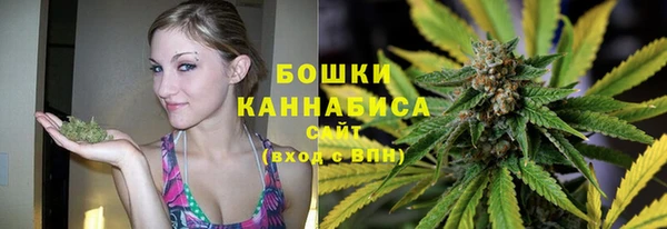 спайс Лагань
