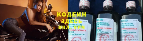 трава Кадников
