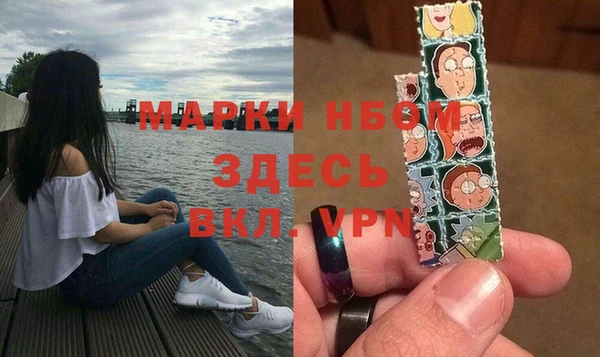 гашик Лабытнанги