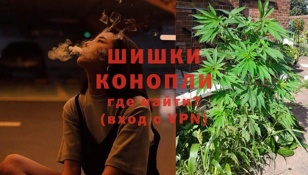 мдпв Майский