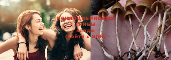 не бодяженный Магас