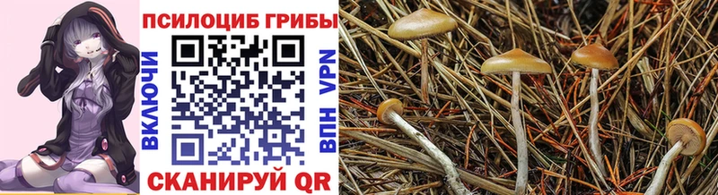 мориарти состав  хочу наркоту  Малгобек  Галлюциногенные грибы ЛСД 