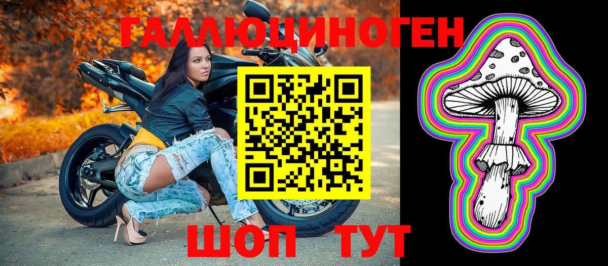 Галлюциногенные грибы Psilocybe  Вход с VPN  Малгобек  Псилоцибиновые грибы мухоморы 